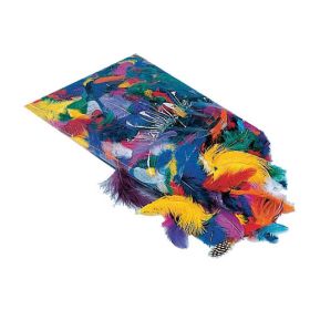 Bunte Federmischung, 100g / Beutel-image