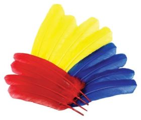Indianer Federn, 12 Stk.-image